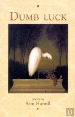 Bertrand.pt - Dumb Luck