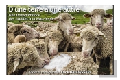 D'Une Terre A Une Autre - Une Transhumance Des Alpilles A La Maurienne
