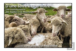Bertrand.pt - D'Une Terre A Une Autre - Une Transhumance Des Alpilles A La Maurienne