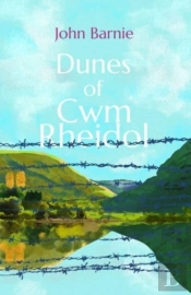 Dunes Of Cwm Rheidol