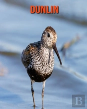 Dunlin