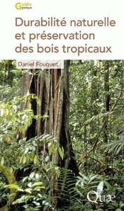 Durabilité Naturelle Et Préservation Des Bois Tropicaux