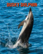 Dusky Dolphin