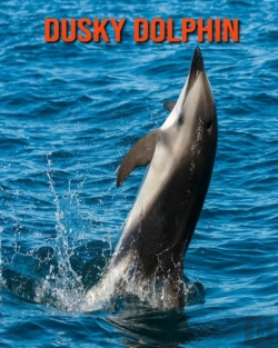 Bertrand.pt - Dusky Dolphin