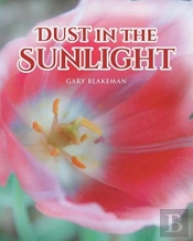 Dust In The Sunlight