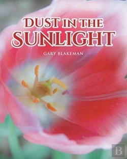 Bertrand.pt - Dust In The Sunlight