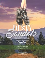 Dusty Sandals