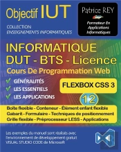 Dut Informatique Flexbox Tome 12 - Avec Visual Studio Code