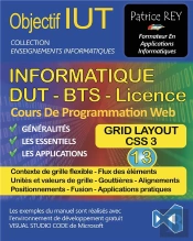Dut Informatique Grid Layout Tome 13 - Avec Visual Studio Code