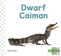 Dwarf Caiman
