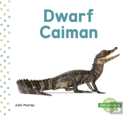 Bertrand.pt - Dwarf Caiman