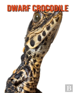 Bertrand.pt - Dwarf Crocodile