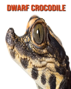 Bertrand.pt - Dwarf Crocodile