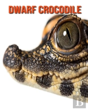 Dwarf Crocodile