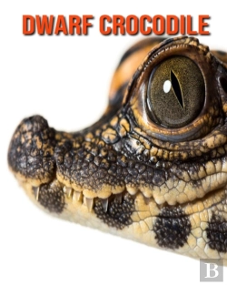 Bertrand.pt - Dwarf Crocodile