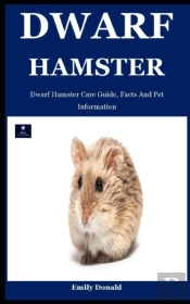 Dwarf Hamster