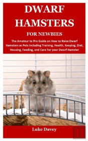 Dwarf Hamsters For Newbies