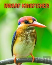Dwarf Kingfisher