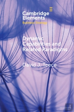 Bertrand.pt - Dynamic Capabilities And Related Paradigms