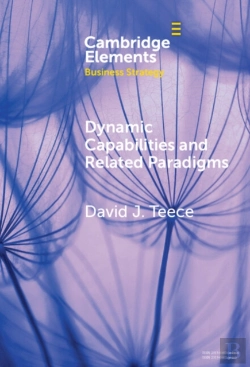 Bertrand.pt - Dynamic Capabilities And Related Paradigms