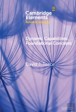 Bertrand.pt - Dynamic Capabilities