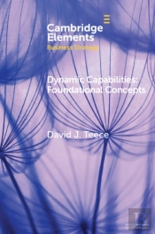 Dynamic Capabilities