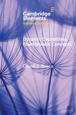 Bertrand.pt - Dynamic Capabilities