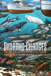 Dynamic Changes In Marine Ecosystems