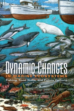 Bertrand.pt - Dynamic Changes In Marine Ecosystems
