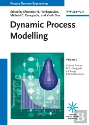 Dynamic Process Modeling