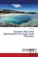 Dynamic Real Time Optimization For Large Scale Processes