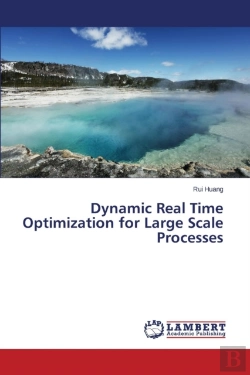Bertrand.pt - Dynamic Real Time Optimization For Large Scale Processes