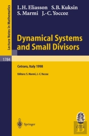 Dynamical Systems And Small Divisors
