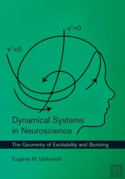 Bertrand.pt - Dynamical Systems In Neuroscience