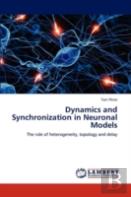 Dynamics And Synchronization In Neuronal Models