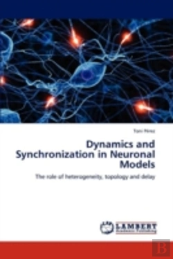 Bertrand.pt - Dynamics And Synchronization In Neuronal Models