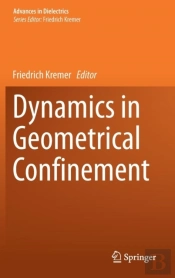 Dynamics In Geometrical Confinement