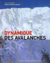 Dynamique Des Avalanches