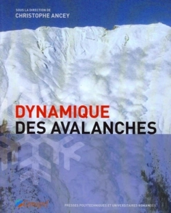 Bertrand.pt - Dynamique Des Avalanches