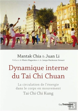 Bertrand.pt - Dynamique Interne Du Tai Chi ; Circulation De L'Énergie Dans Le Corps En Mouvement
