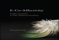 E-Co-Affectivity