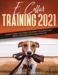 E Collar Training 2021