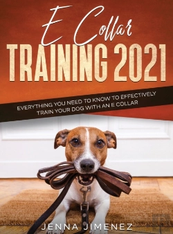 Bertrand.pt - E Collar Training 2021