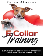 E Collar Training: Everything You Need T