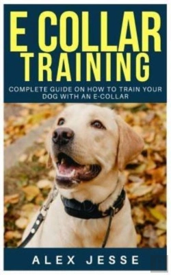 Bertrand.pt - E Collar Training