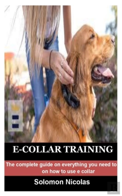Bertrand.pt - E-Collar Training