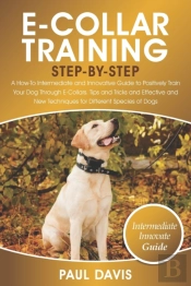 E-Collar Training Step-By-Step