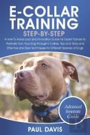 E-Collar Training Step-By-Step