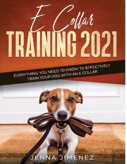 Bertrand.pt - E Collar Training2021