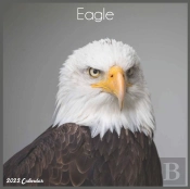 Eagle 2022 Calendar